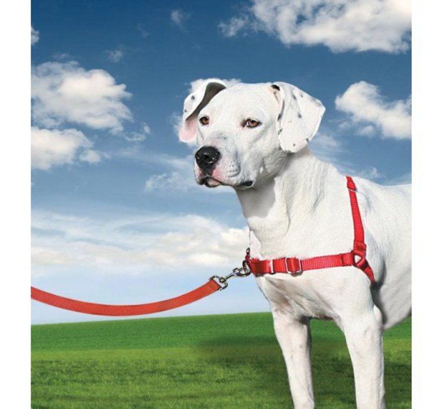 Lijkenhuis Oppervlakkig Bekend Petsafe Anti-Trek hondentuig Easy Walk ® Rood - Petsonline