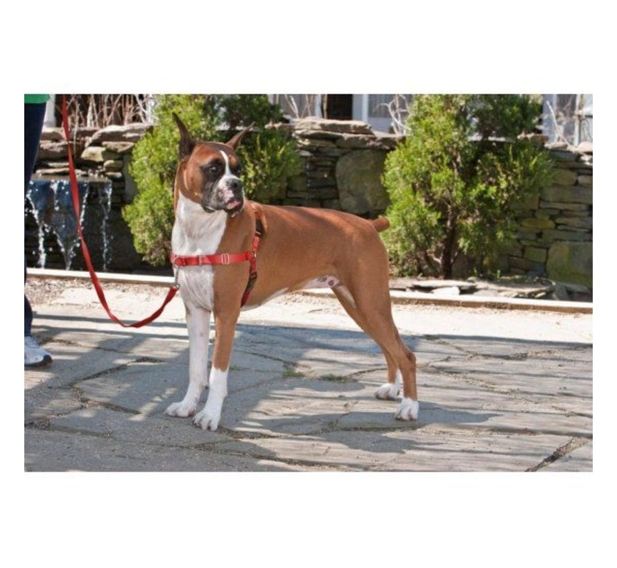 Anti-Pull Dog Harness Easy Walk ® Red