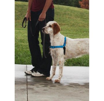 Petsafe Anti-Pull Dog Harness Easy Walk ® Deluxe