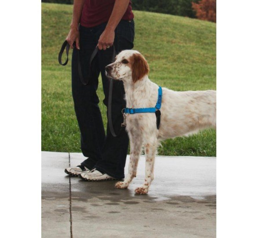 Anti-Pull Dog Harness Easy Walk ® Deluxe