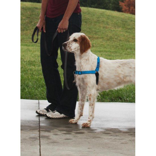 Afbeelding Anti-Trek hondentuig Easy Walk ® Deluxe door Petsonline