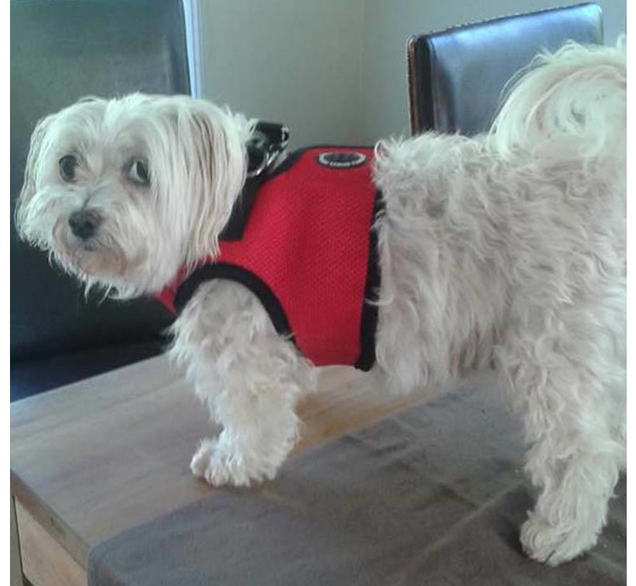 Hondentuig Soft Vest Harness Red