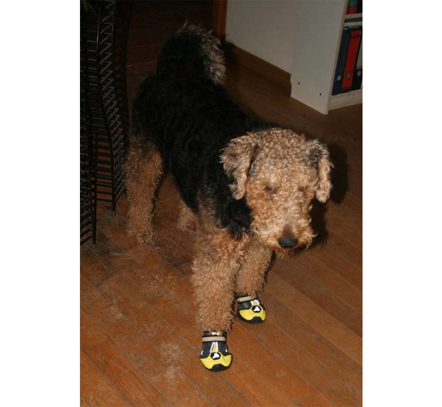 Dog Shoe 4Seasons Yellow