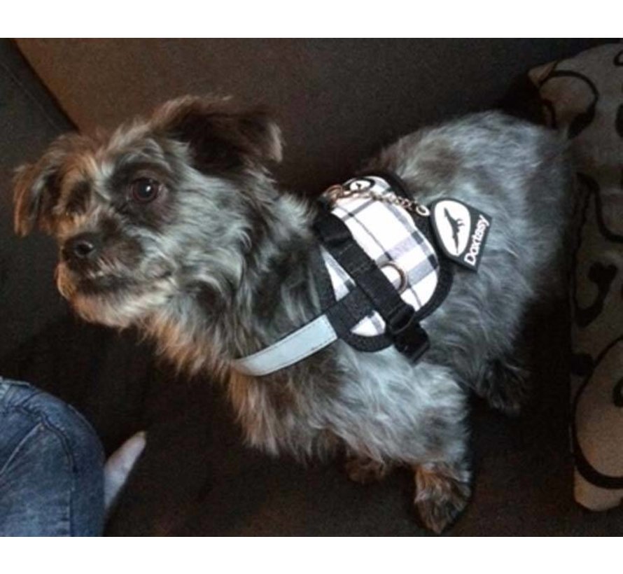 Dog Survival Harness Scottish Pink