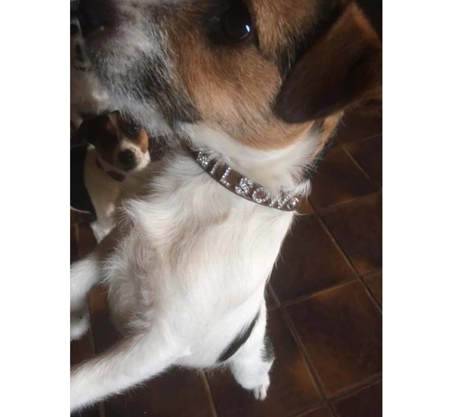 Hondenhalsband Met Naam Bruin (Medium)