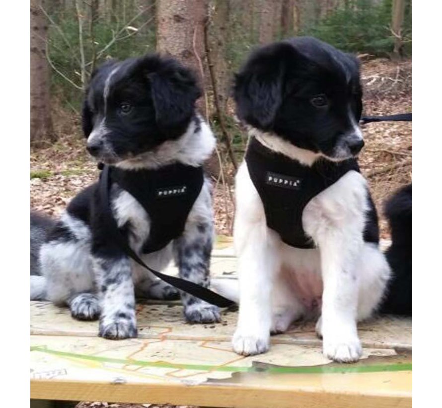 Hondentuig Soft Vest Harness Black