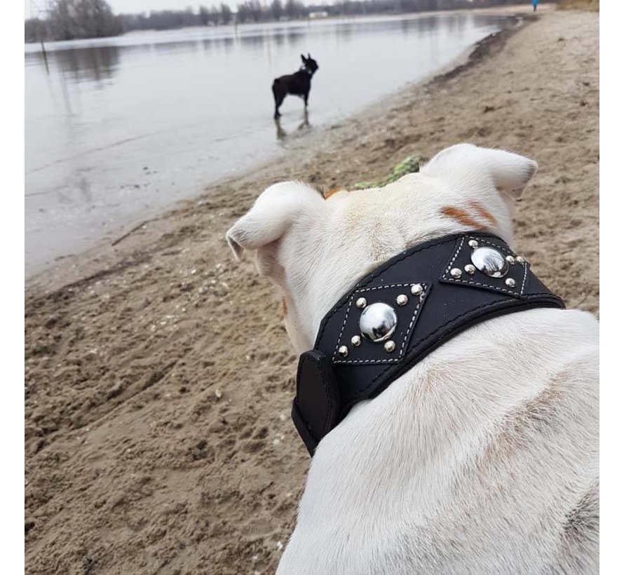 Dog Collar Ruff Chic Black