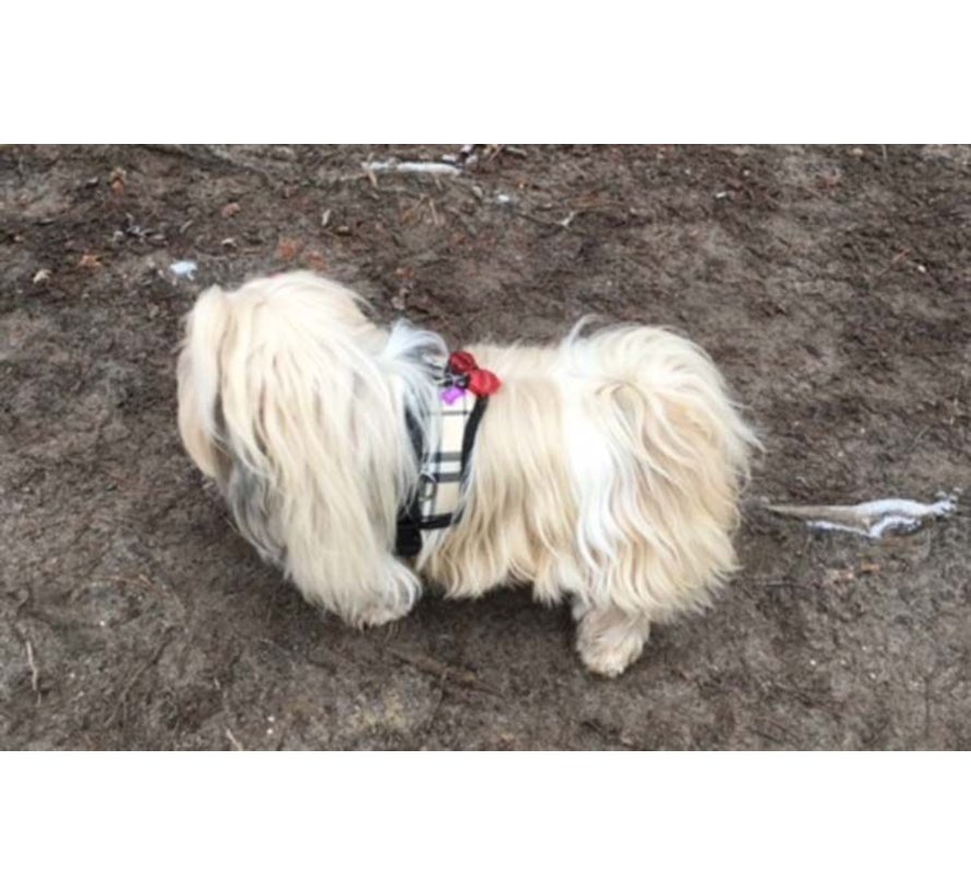 Dog harness Survival harness Scottish Beige