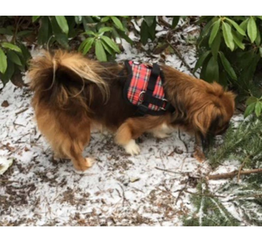 Dog Survival Harness Tartan Red