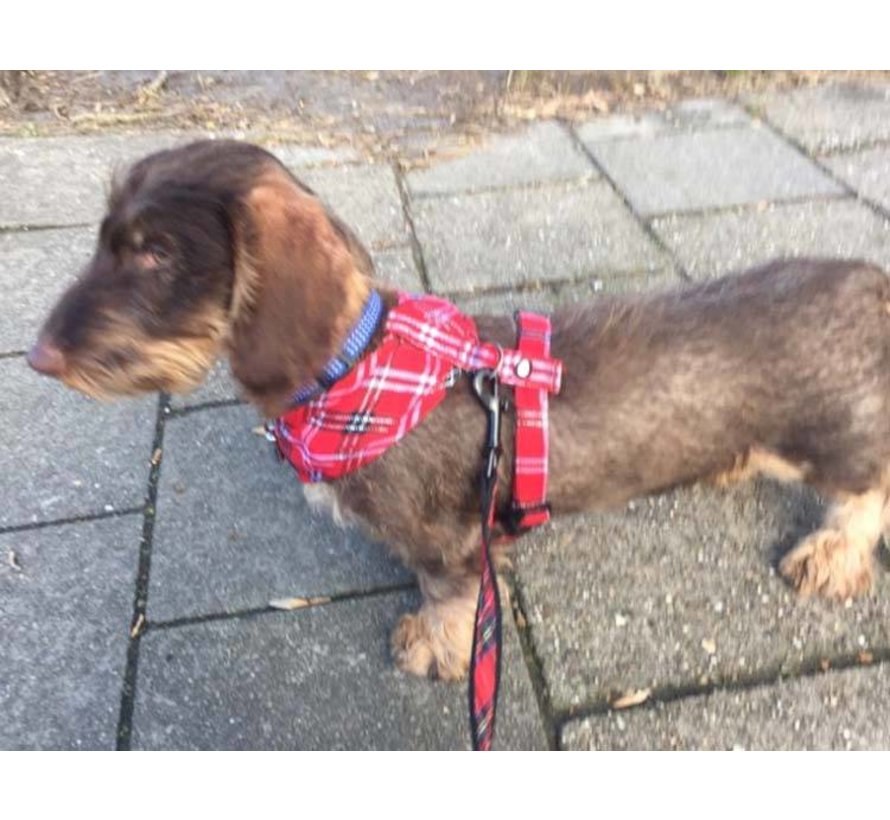 Dog Harness Round Loop Harness Scottish Red