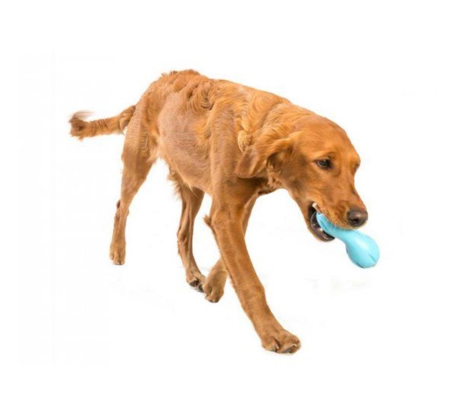 Dog Toy Zogoflex Qwizl Aqua