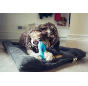 West Paw Hondenspeelgoed Zogoflex Qwizl Aqua