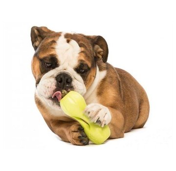 West Paw Design Dog Toy Zogoflex Qwizl Granny Smith