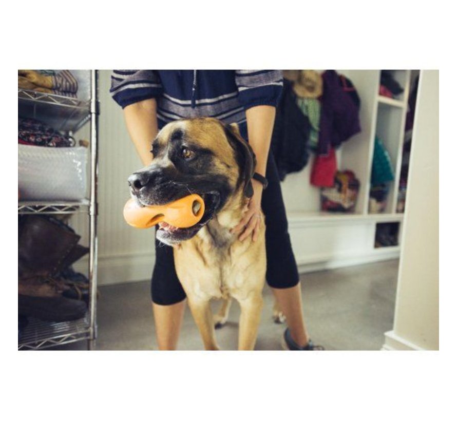 Dog Toy Zogoflex Qwizl Orange