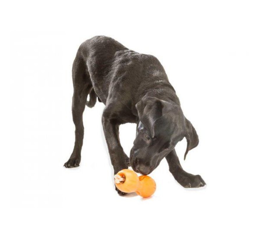 Dog Toy Zogoflex Qwizl Tangerine