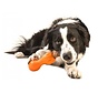 Dog Toy Zogoflex Qwizl Tangerine