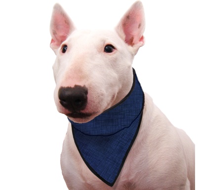 Afbeelding Aqua Coolkeeper Bandana - Blauw - M door Petsonline