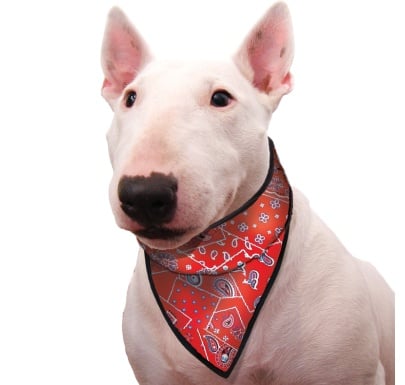 Afbeelding Aqua Coolkeeper Bandana - Red Western door Petsonline