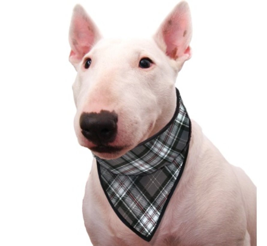 Koelbandana Hond Scottish Grey
