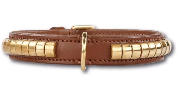 Hondenhalsband Gold Row Brown