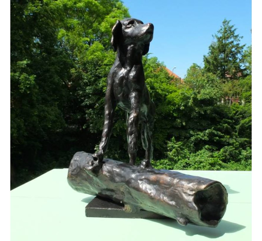 Bronzen urn voor hond