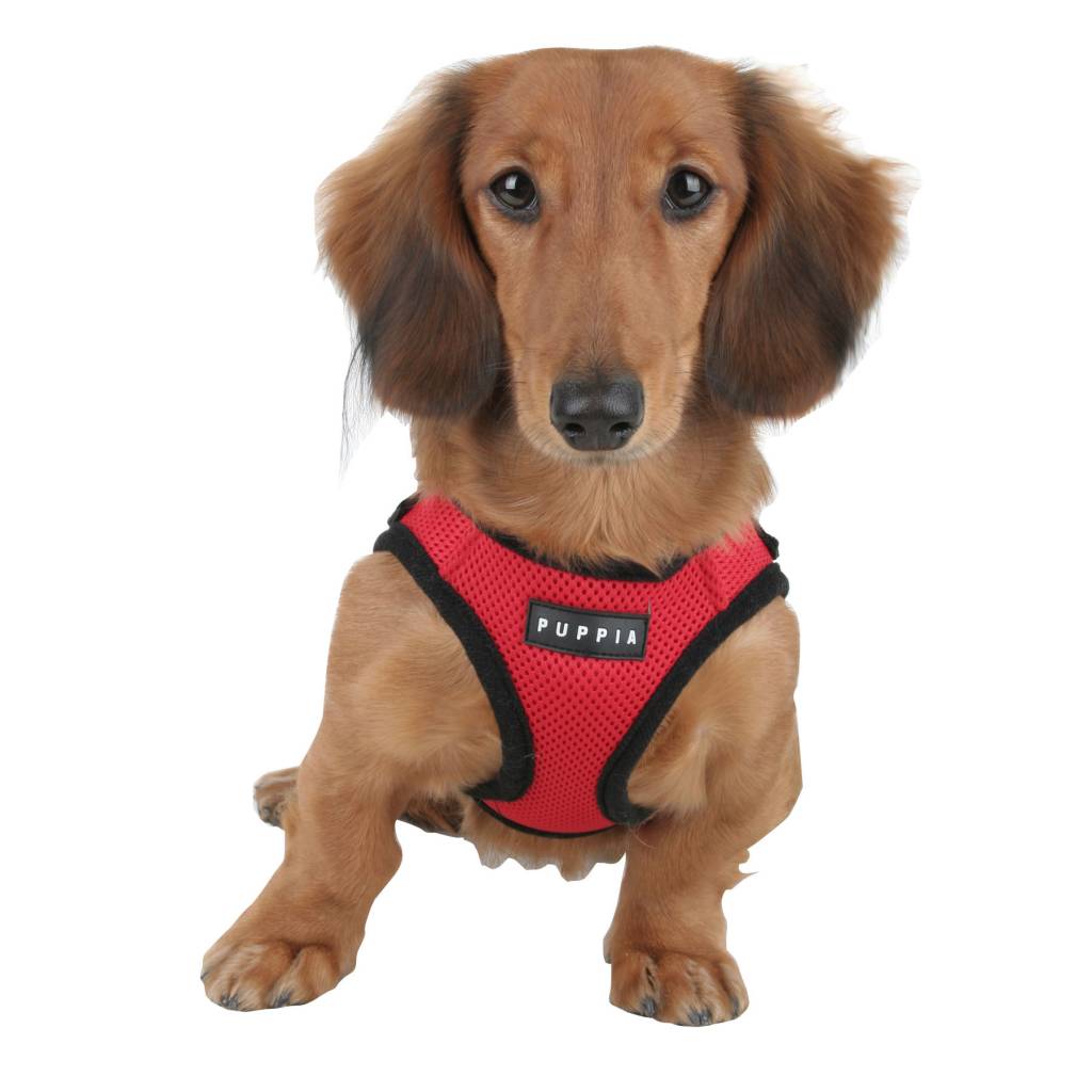 Afbeelding Puppia Soft Harness - M - Rood door Petsonline