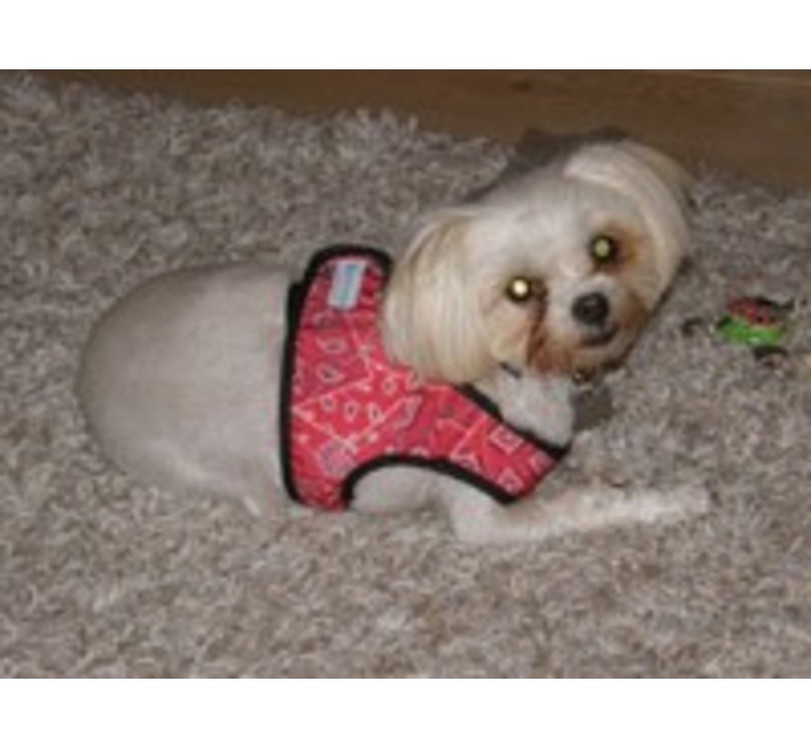 Cooling Comfy Harnass Red Western