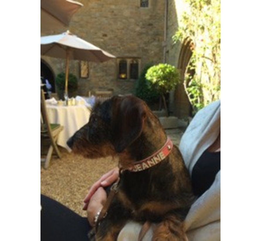 Dog Collar With Name Pink (Medium)