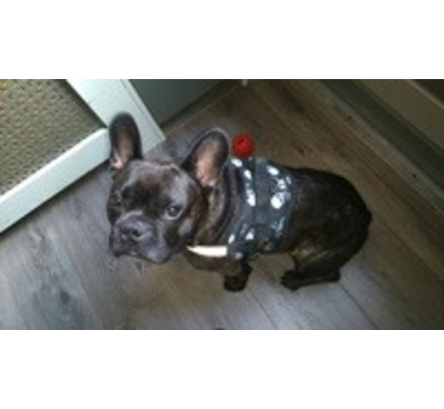 Dog Survival Harness Skull and Bones