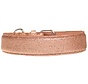 Dog Collar Glitter Gold
