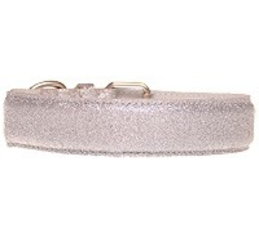 Dog Collar Glitter Silver