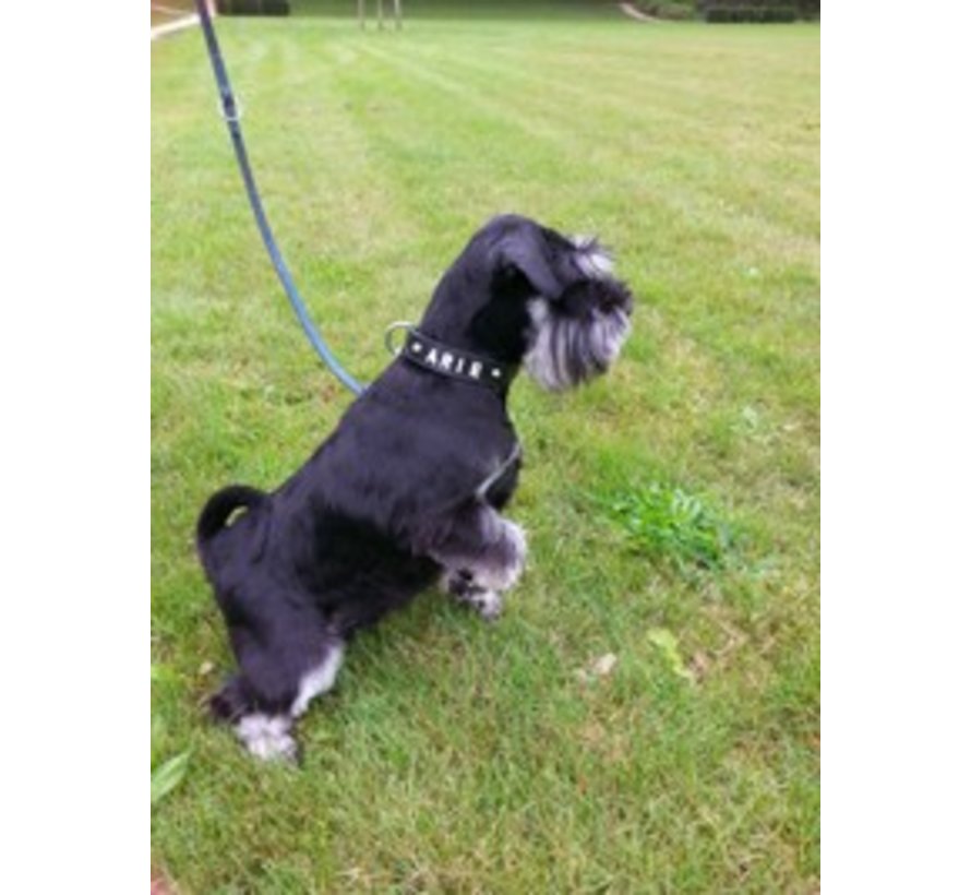Dog Collar With Name Black (Medium)