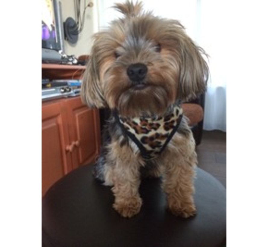 Dog Harness Comfy Harness Leopard brown