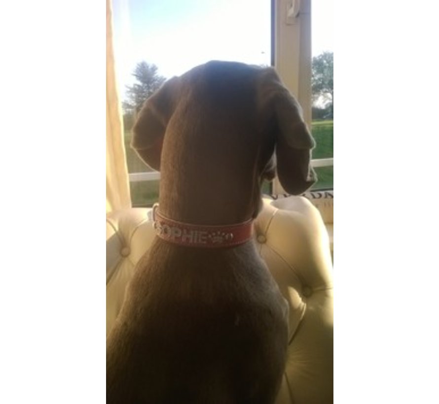 Hondenhalsband Met Naam Roze (Large)