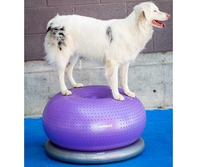 FitPAWS Dog Balance Donut – Stability and Strength Training