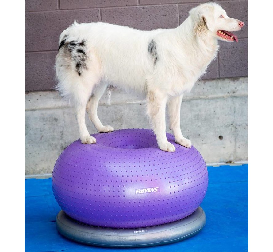 Dog Balance Donut – Stability and Strength Training