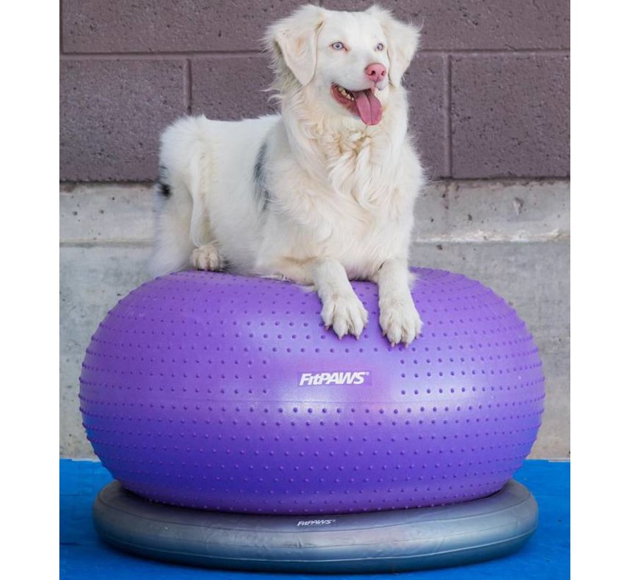 Donut Balansbal voor Honden – Stabiliteit en Krachttraining