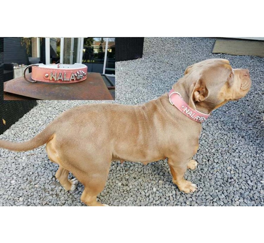 Dog Collar With Name Pink (Large)