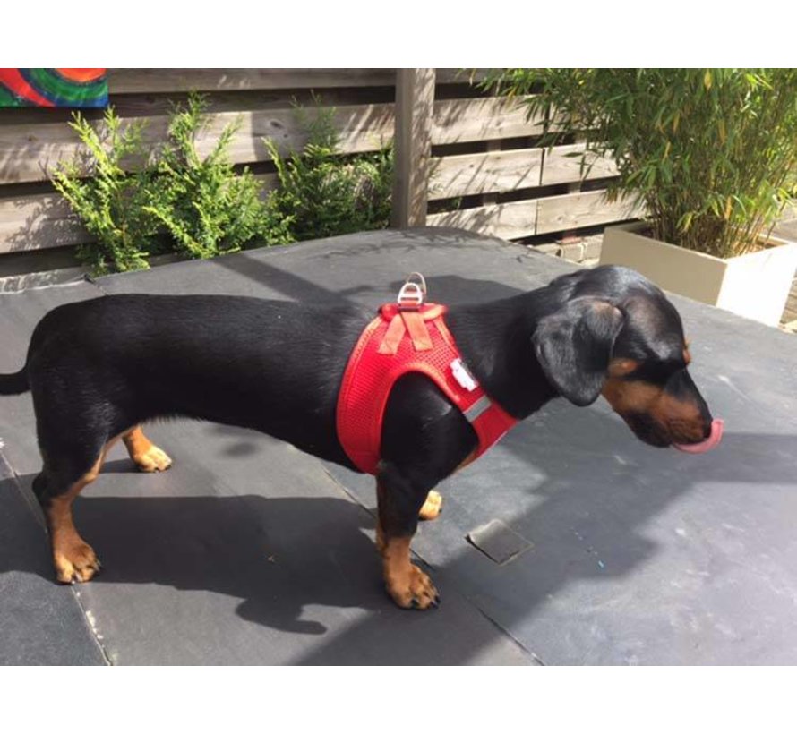 Dog Harness Air-Mesh Harness Red