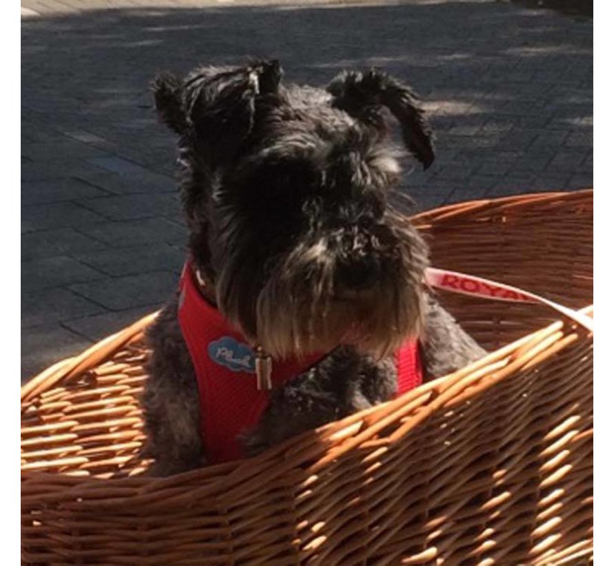 Dog Harness Air-Mesh Harness Red