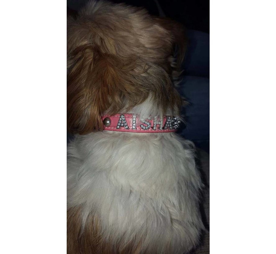 Dog Collar With Name Pink (Medium)
