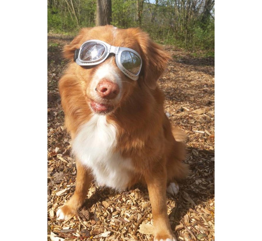 Dog Sunglasses Biker Silver frame/Mirror lens