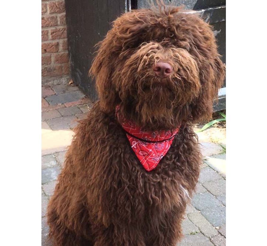 Koel Bandana Hond Red Western