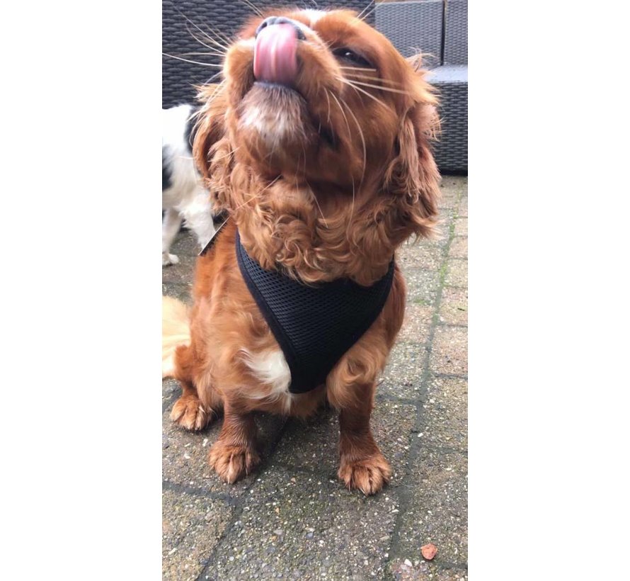 Hondentuig Round Loop Harness Mesh Black