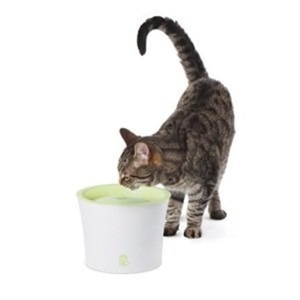 Drinking Fountain for Cats