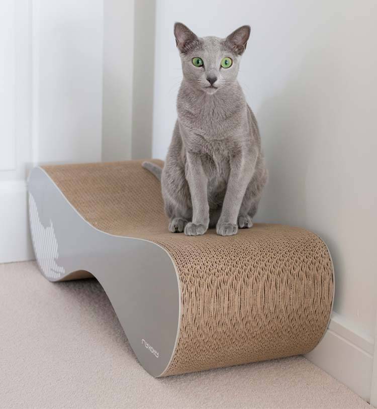Afbeelding myKotty Vigo - Grijs door Petsonline