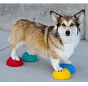 FitPAWS Dog Paw Pods – Set of 4