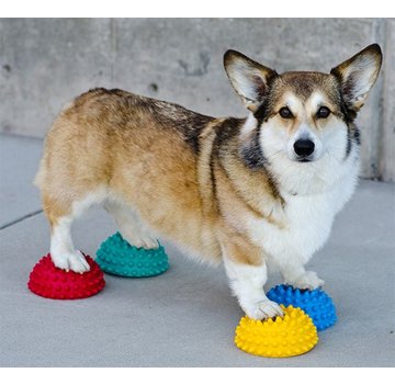 FitPAWS Dog Paw Pods – Set of 4