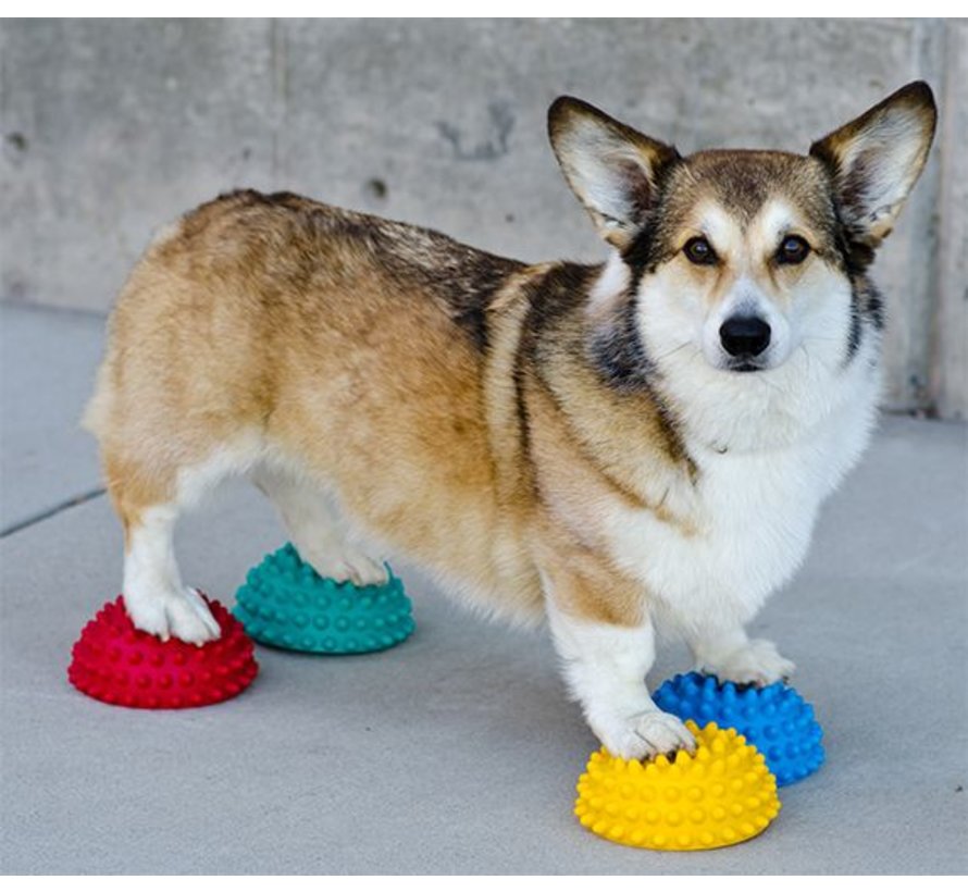 Dog Paw Pods – Set of 4