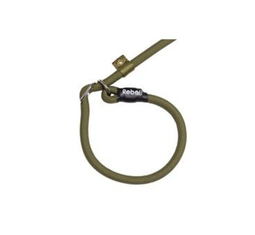 Training Leash Green